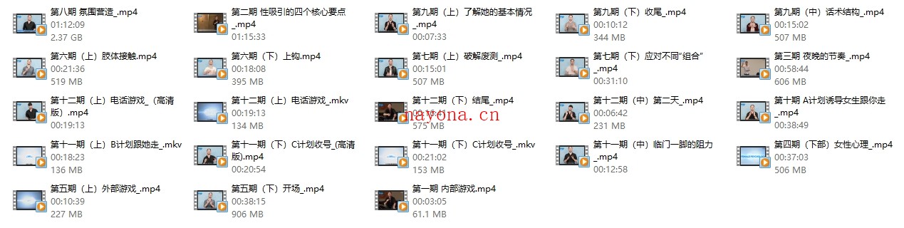 RSD朱丽安《pimp》皮条客中文版