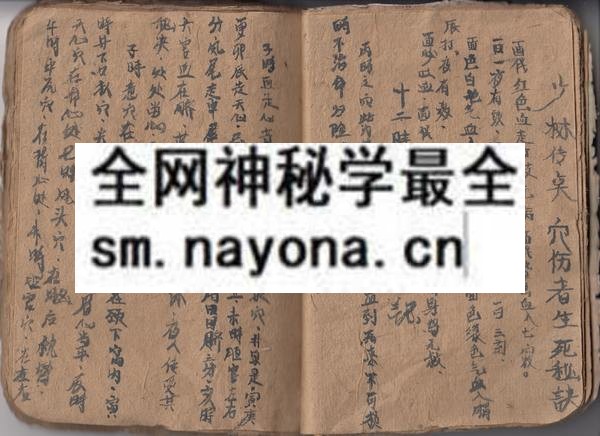 1751798278528680.jpg 龙绍荣法本(排教) (原书)