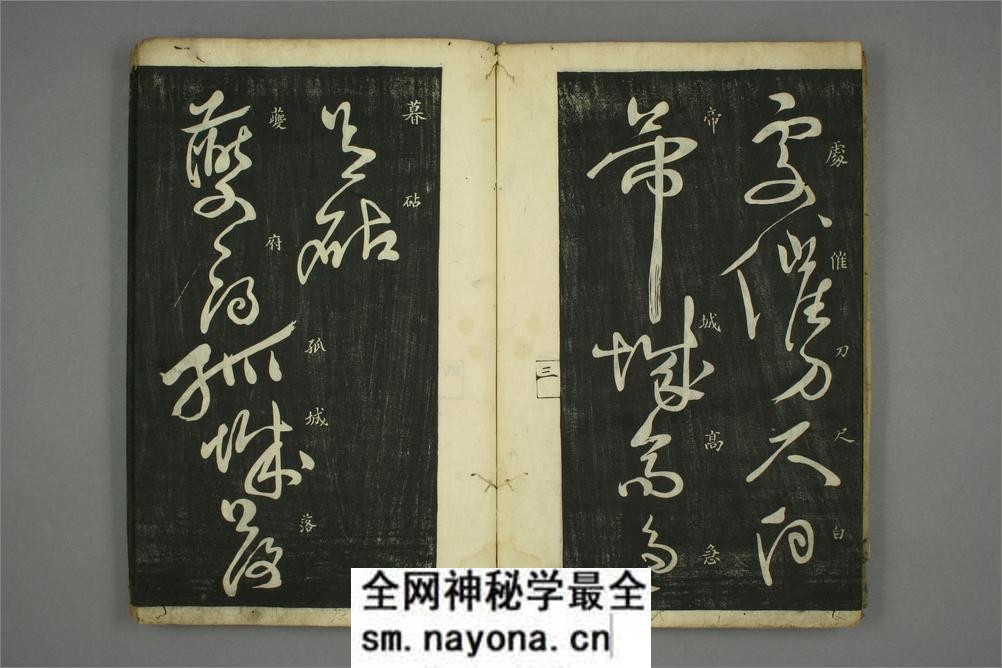 (唐)怀素草书秋兴八首(日延保版) - 第5页预览图