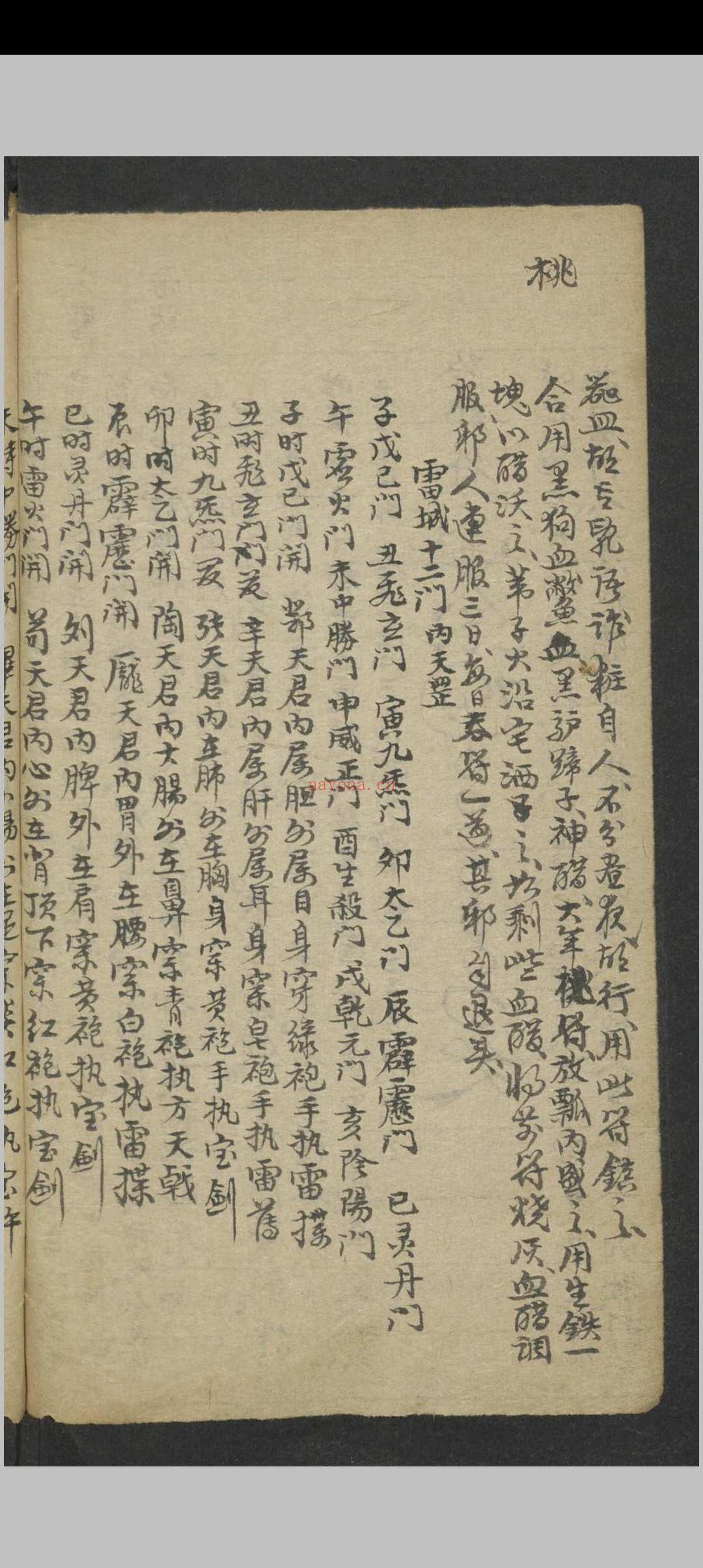 符咒诀谱
