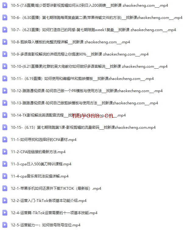 从0基础到精通进阶TikTok账号运营到变现【Ad-0017】