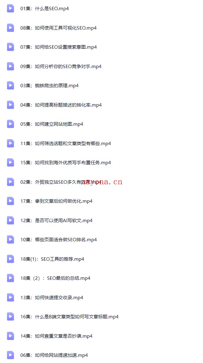 新版黑方谷歌SEO实战教程，全网内部VIP解码，价值9800【Aa-0075】