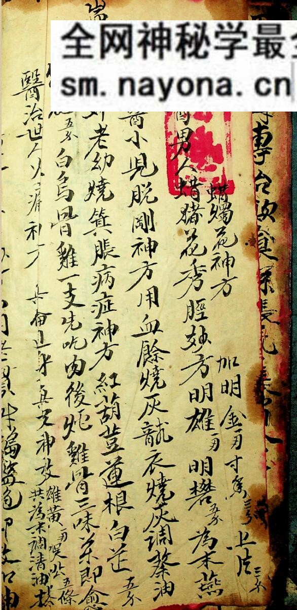 《万病回春》