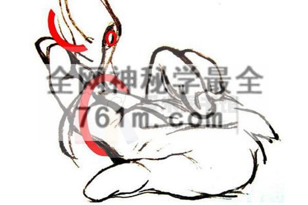 高C/潮/喷技巧