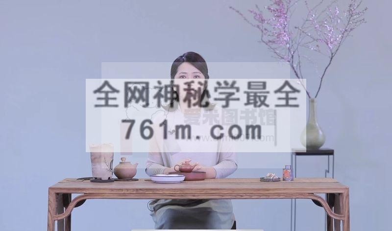 茶家【现代潮州工夫泡】7天训练营（第1期）