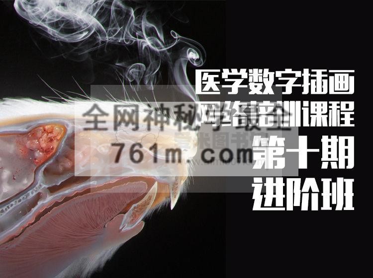 一目学园《医学插画网络班·第十期·进阶班》