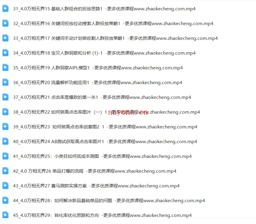 2024万相无界直引万运营实操,4.0升级版,系统化课程 理论+实操【Bf-0022】