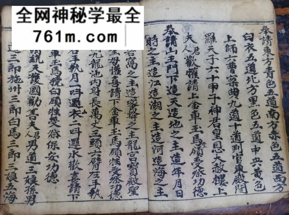 《祭矛神科》