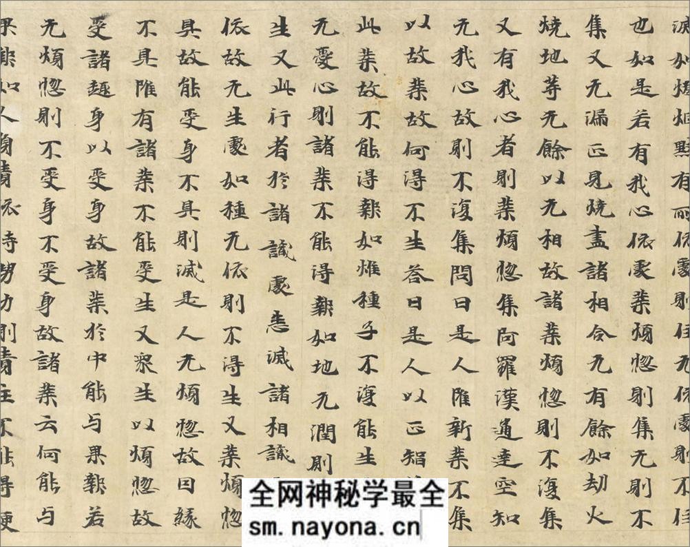 (北魏)刘广周楷书诚实论卷经第十四 - 第20页预览图