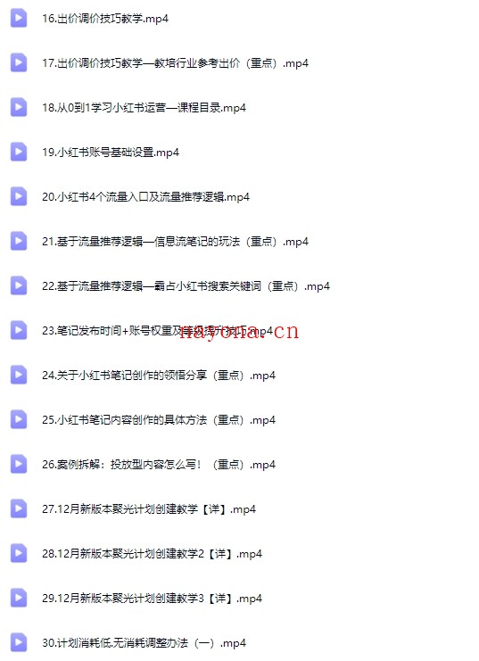 小红书运营投流从0到1的实战【Bb-0133】
