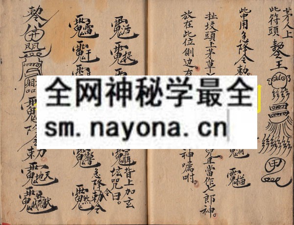 1742296080929603.jpg 安五猖玄科 (原书)