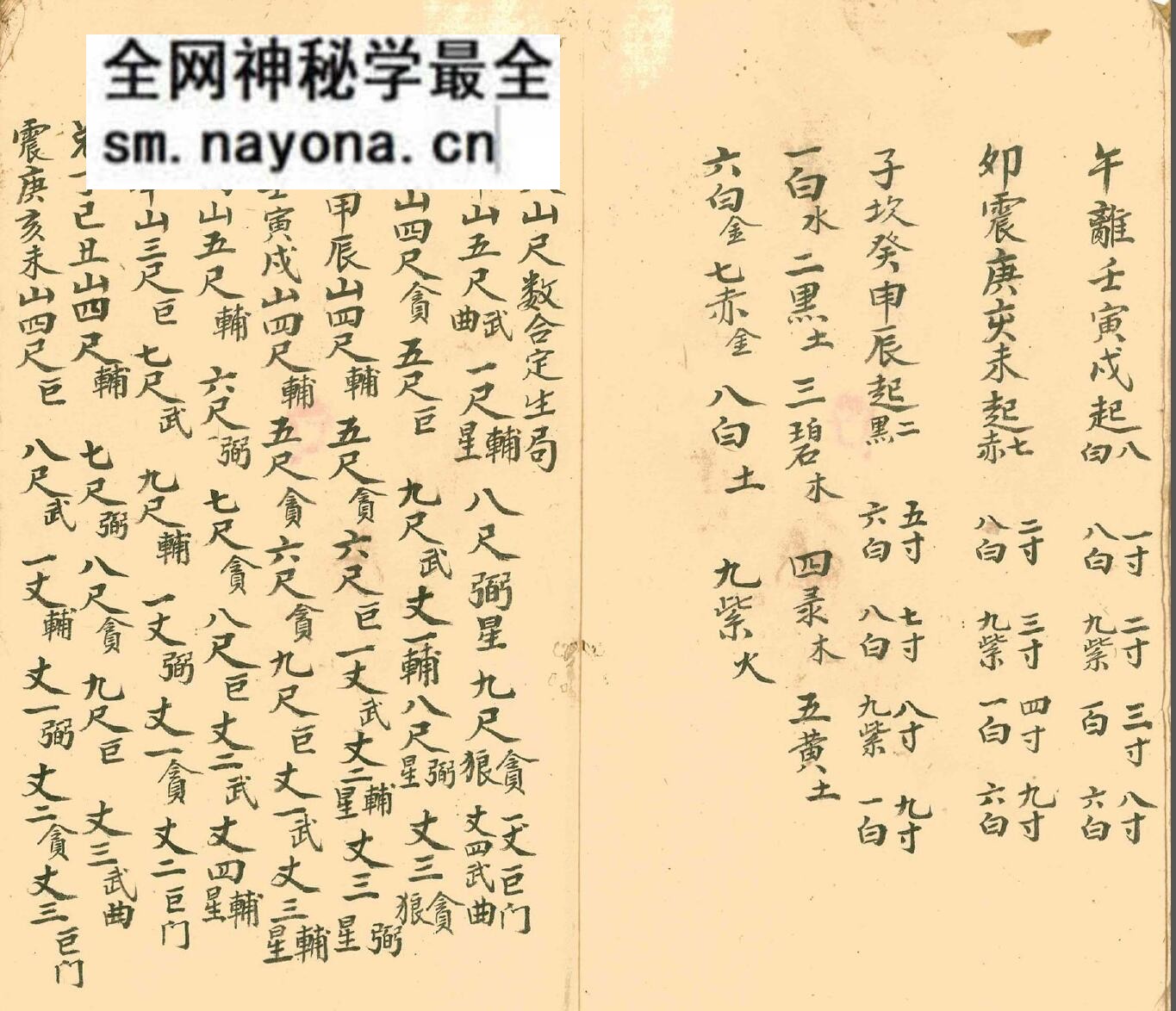 《四墓九星》