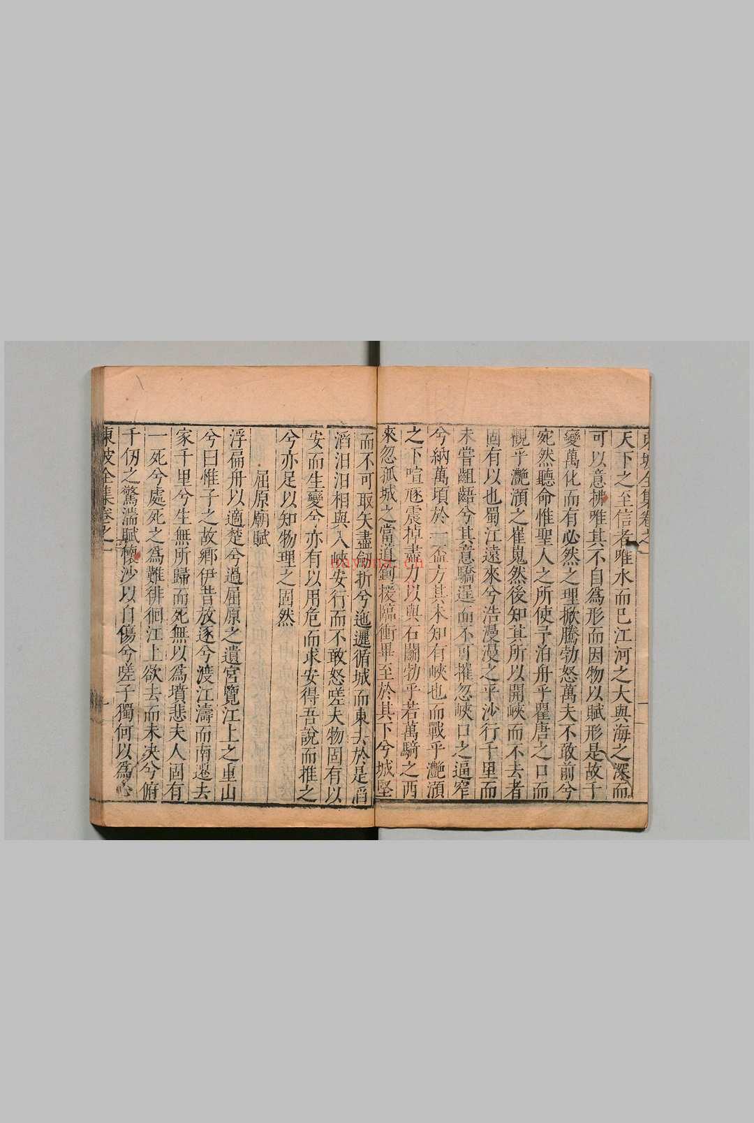 东坡先生全集 75卷 东坡先生年谱1卷 苏轼(宋)王宗稷(宋)清邵长衡重订 明刊本