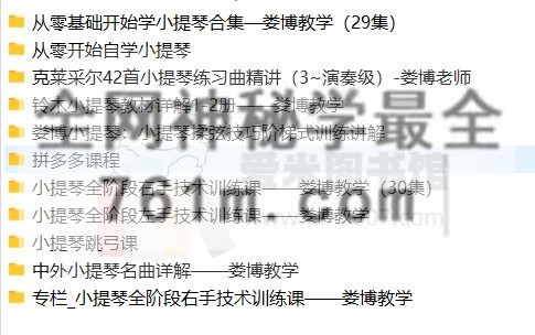 娄博小提琴课合集