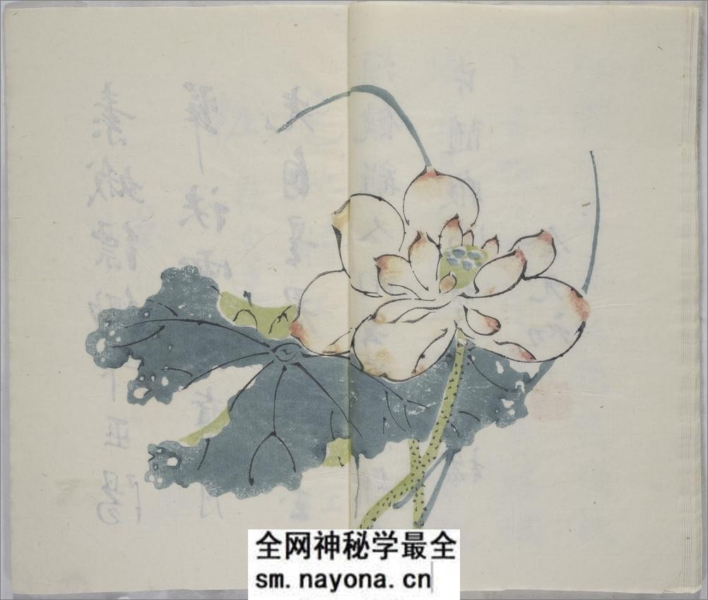 十竹斋书画谱.16册.明胡正言辑.清嘉庆22年芥子园重刊胡氏彩色套印本.1817年 - 第20页预览图