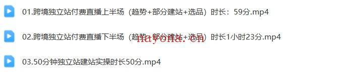 同款团长·跨境电商独立站入门课(2小时精华)【Ag-0122】