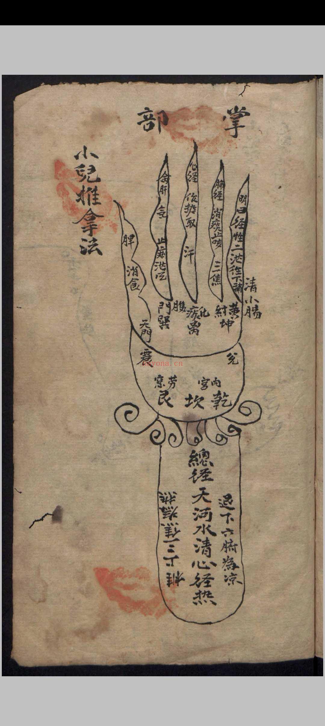 杂抄医书 , 1900