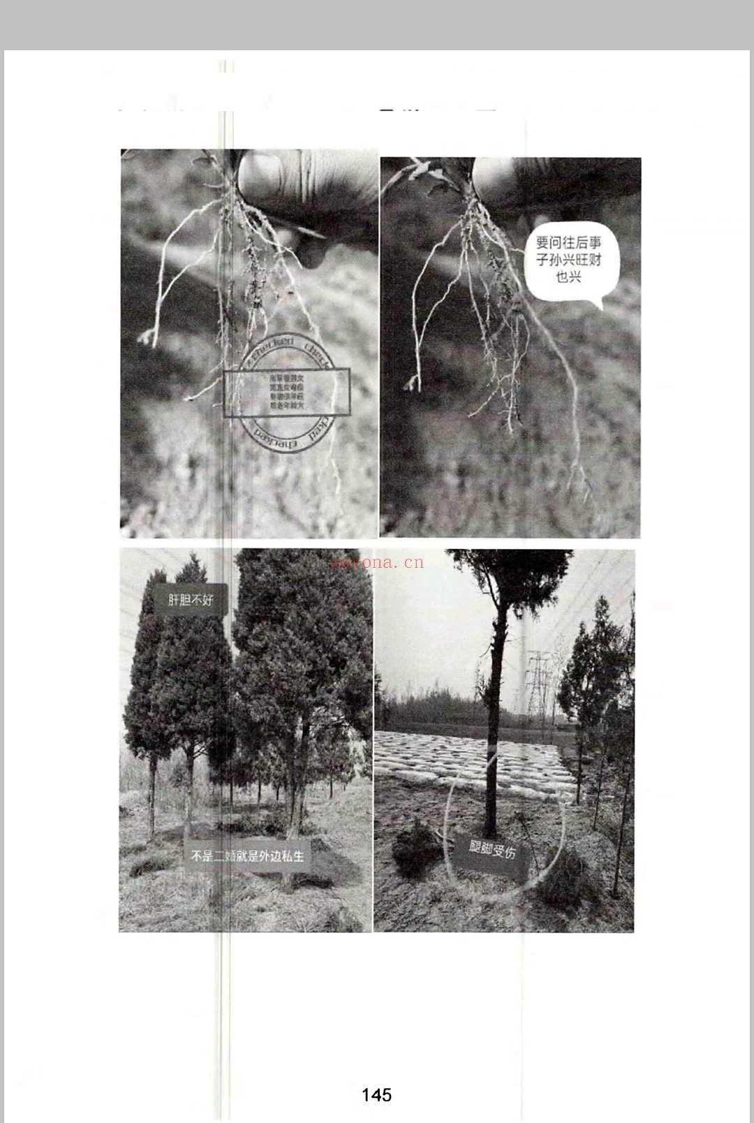 《燕门混元地理》