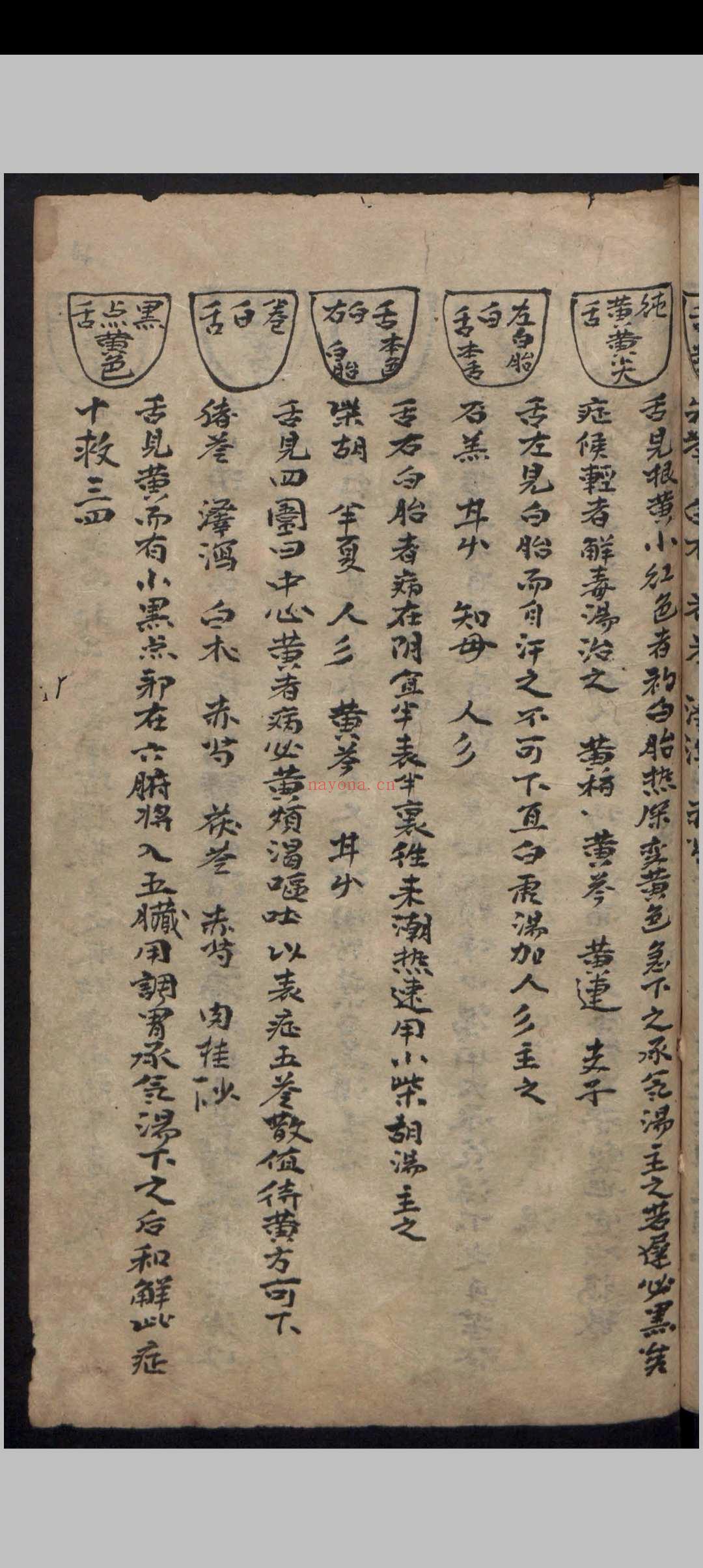 杂抄医书 , 1900