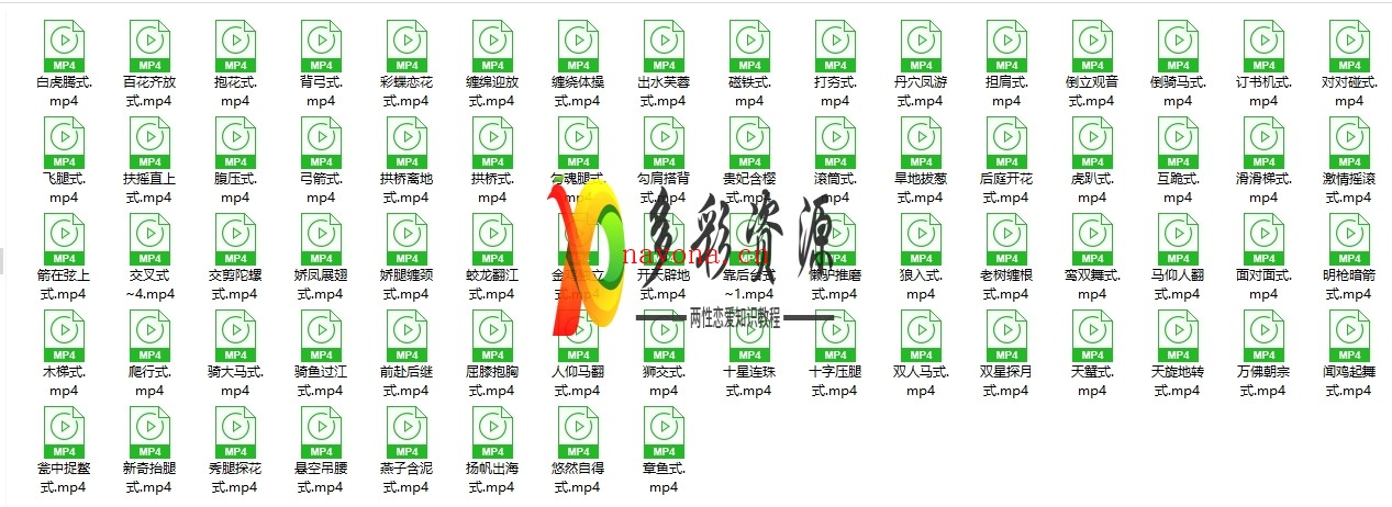 男女欢悦性爱精彩解说视频(共72部姿势视频)