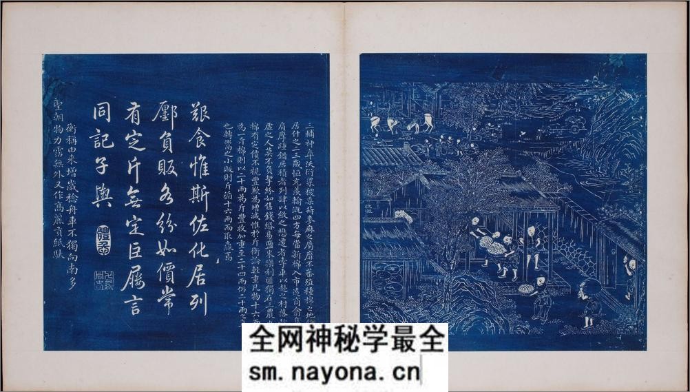 御题棉花图.方观承画.乾隆题诗.蓝拓本.1765年 - 第11页预览图
