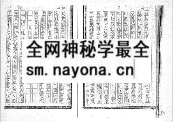 乐善坛做法符书 （只售电子版）