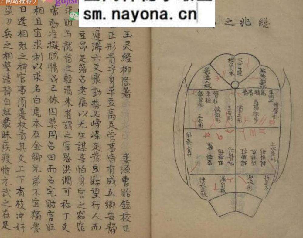 龟卜类古籍《呈洛洞玄经论图诀》119页（第111页有损）)