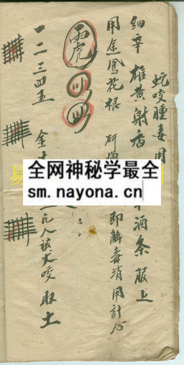 怪符   （原书）