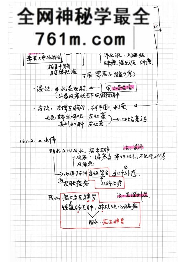 《中医学习笔记（2册）》