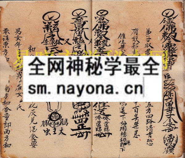1742904167835212.jpg 飞符镇犯 (原书)
