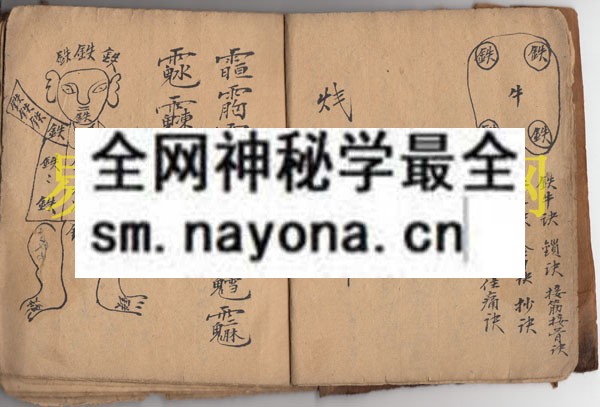 1742975311940265.jpg 符显药灵 (原书)