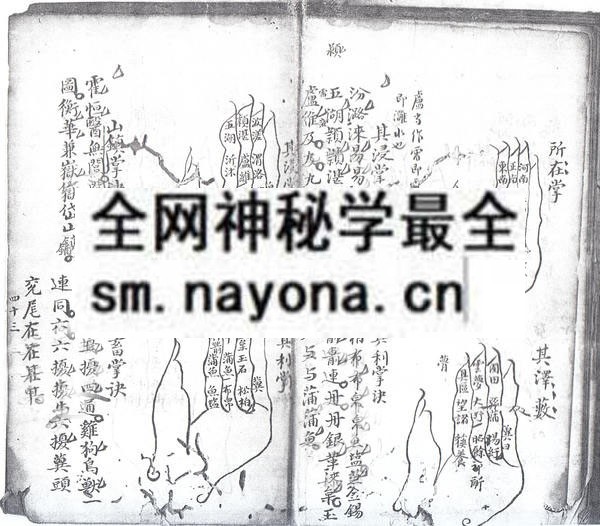 九州总掌诀  (电子版）