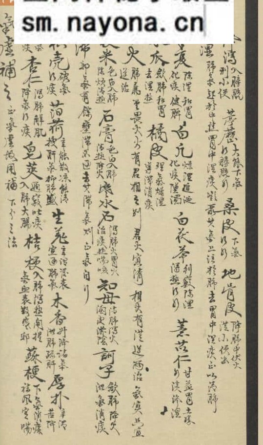 《脏腑标本药式》