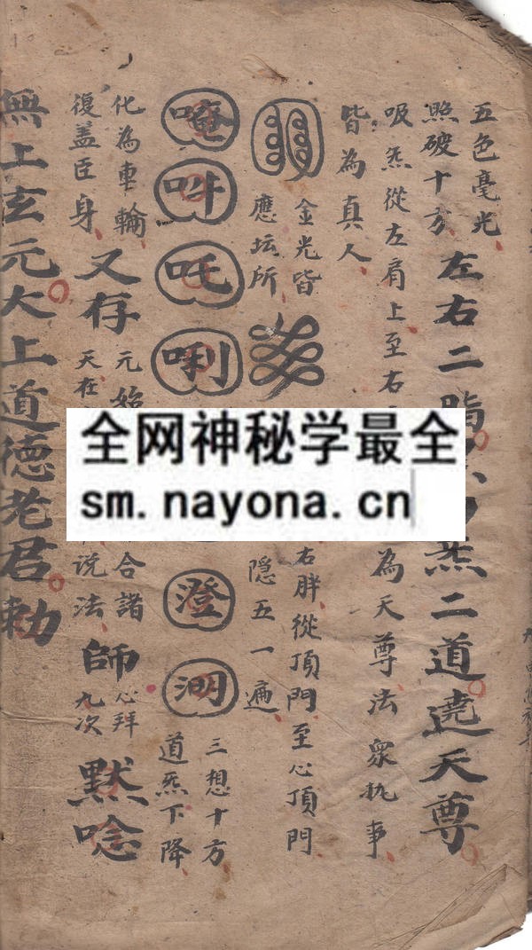 蒙山科  （电子版）