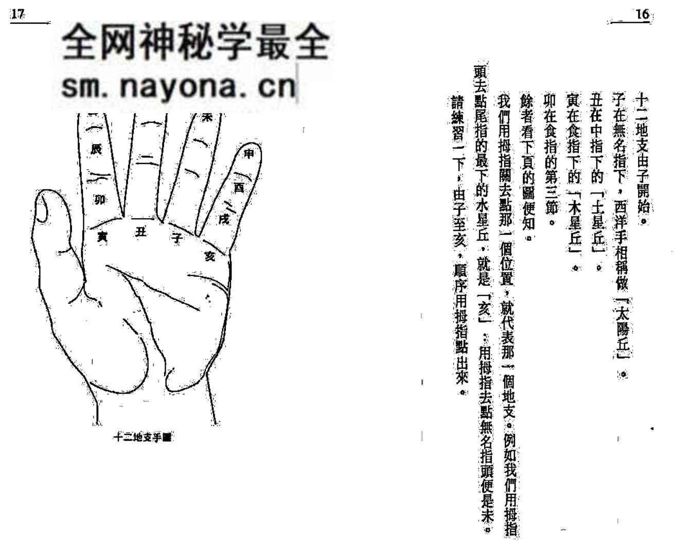 《实战八字入门》