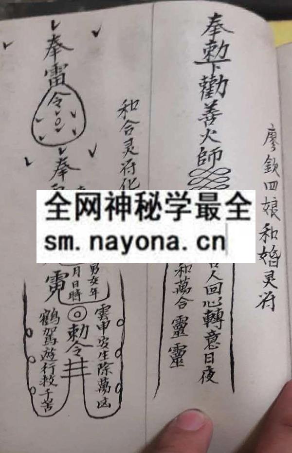 吕山良金罗汉  (电子版)