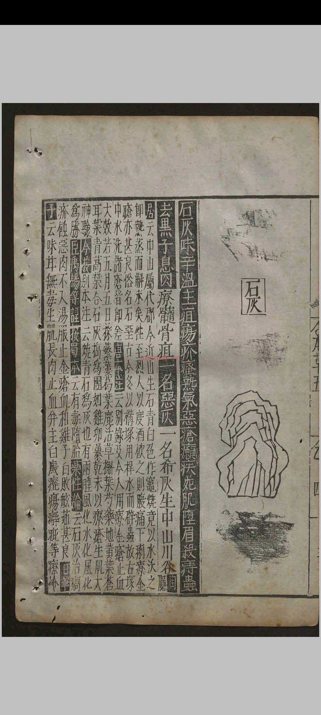 重修政和经史证类备用本草.三十卷.唐慎微.明天启间