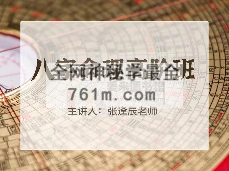 张逢辰《八字命理高阶班》