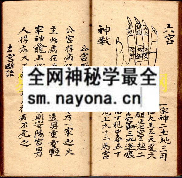法病秘书  （原书）