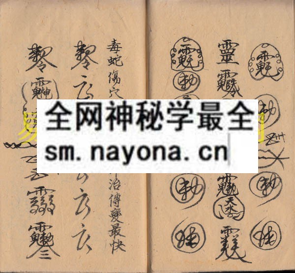 関符科  （电子版）