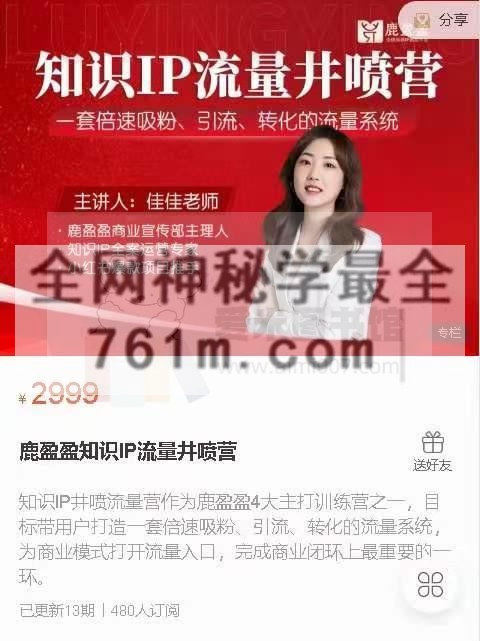 鹿盈盈知识IP流量井喷营 第2期