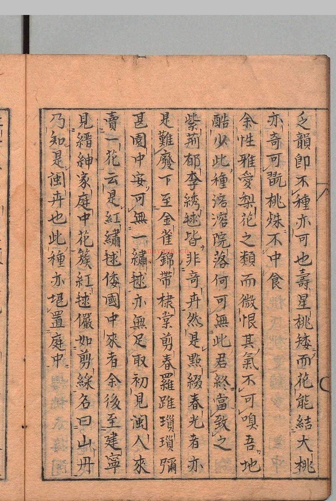 高寄斋订正学圃杂疏 王世懋(明)写本 ,江户