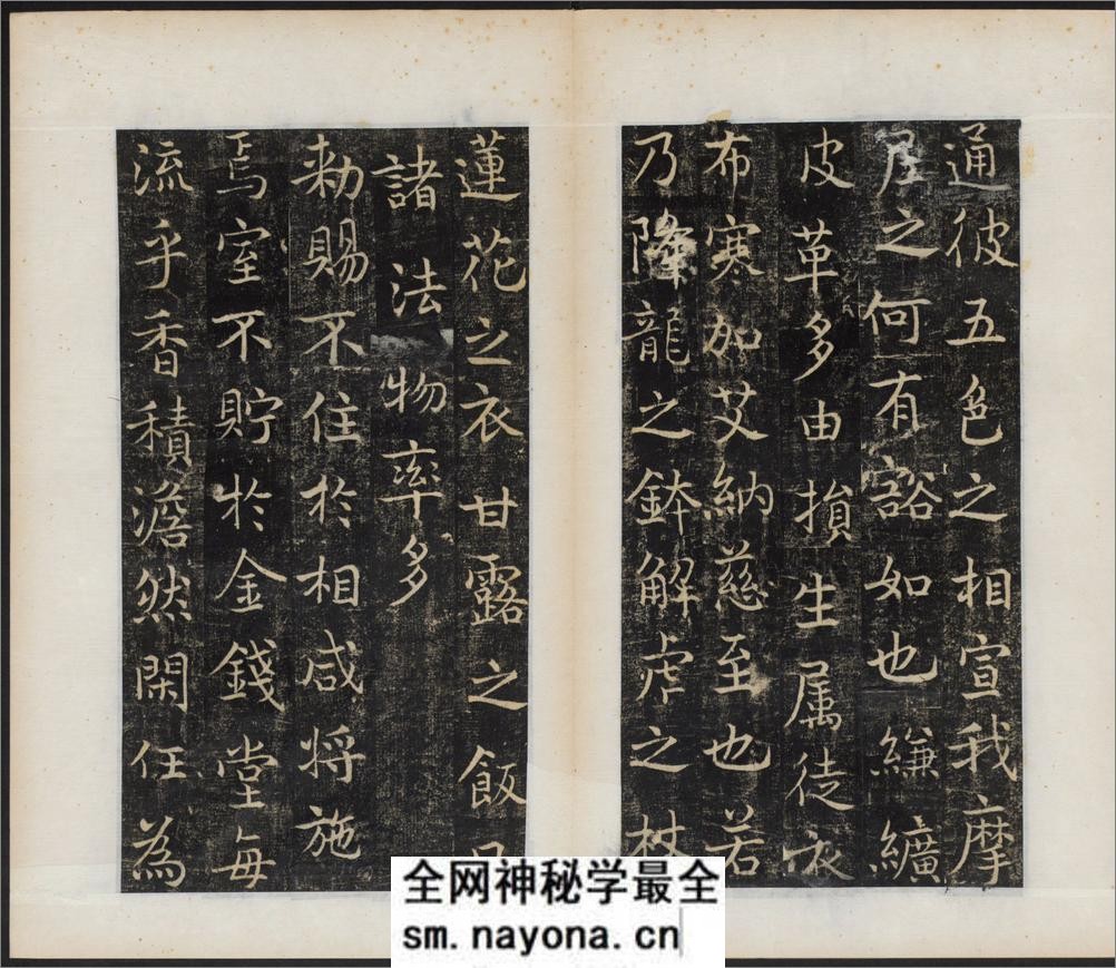 唐国师千福寺多宝塔院故法华楚金禅师碑.唐释飞锡撰.唐吴通书.民国拓本 - 第13页预览图