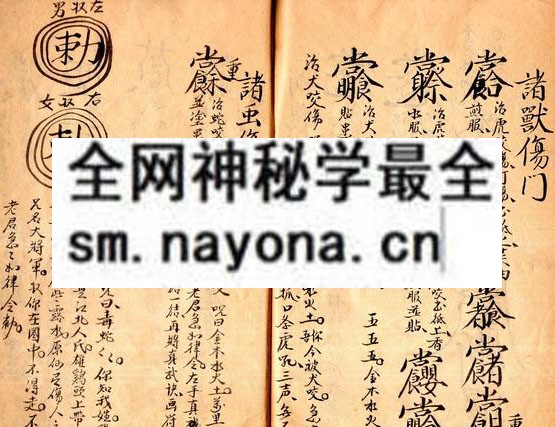 1758335527908239.jpg 南京花宅祝由符章 (原书)
