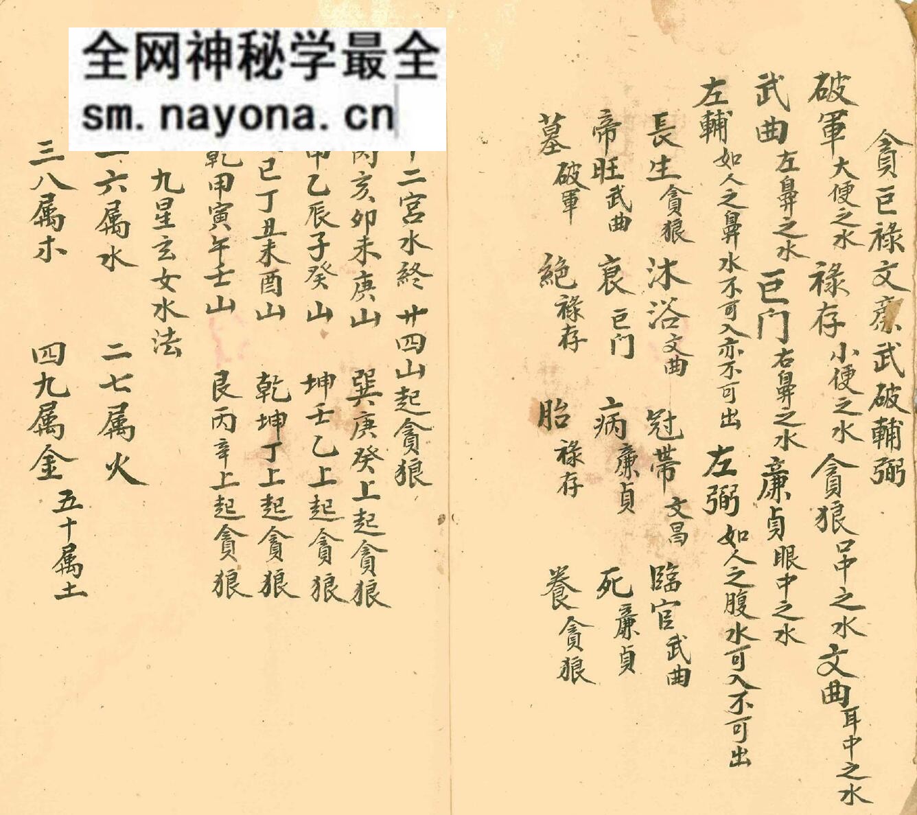 《四墓九星》