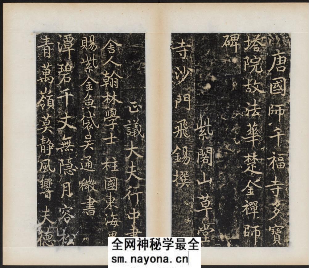 唐国师千福寺多宝塔院故法华楚金禅师碑.唐释飞锡撰.唐吴通书.民国拓本 - 第3页预览图