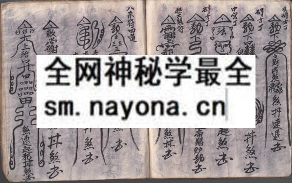 安师科（原书）