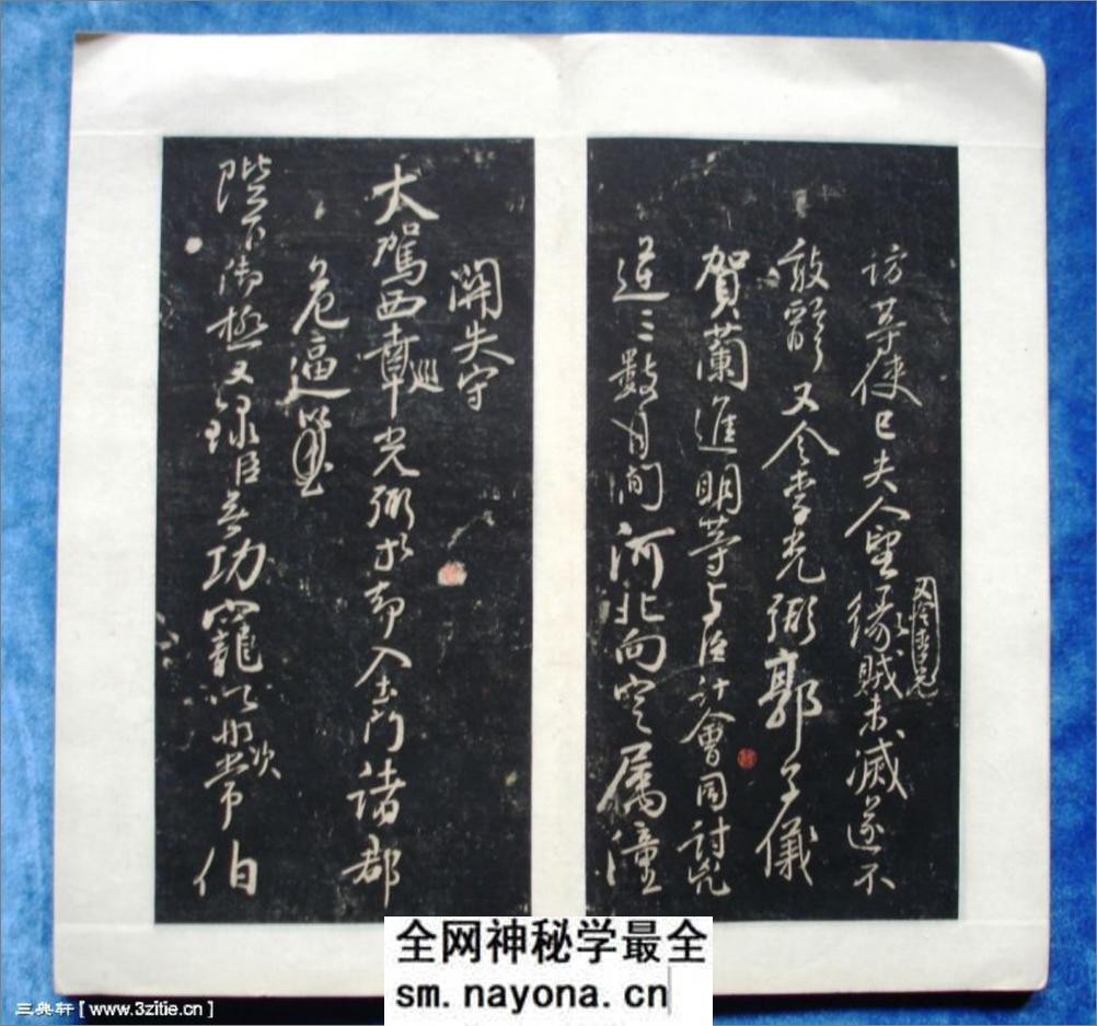 (唐)颜真卿行书三表册 - 第11页预览图