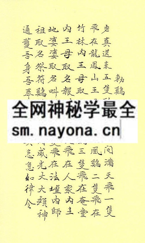 1753282965960756.jpg 茅山天罗地网法诀 (精装版)