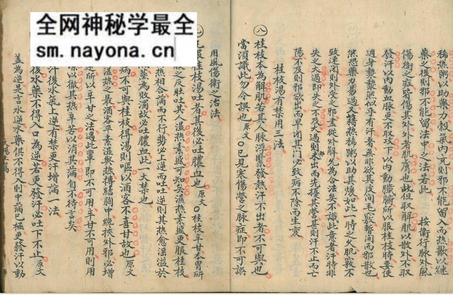 伤寒古籍《伤寒集论》张希成